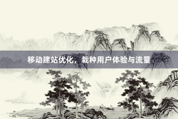 移动建站优化，栽种用户体验与流量