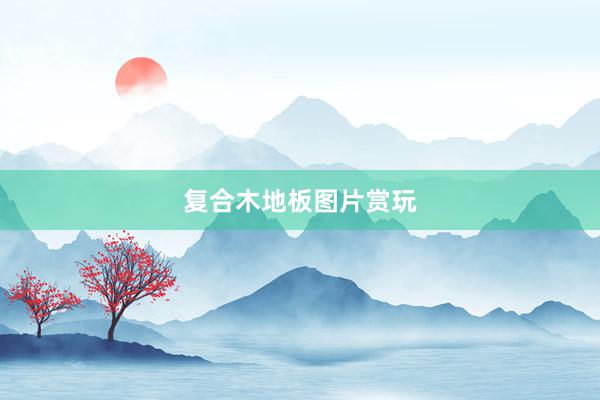复合木地板图片赏玩
