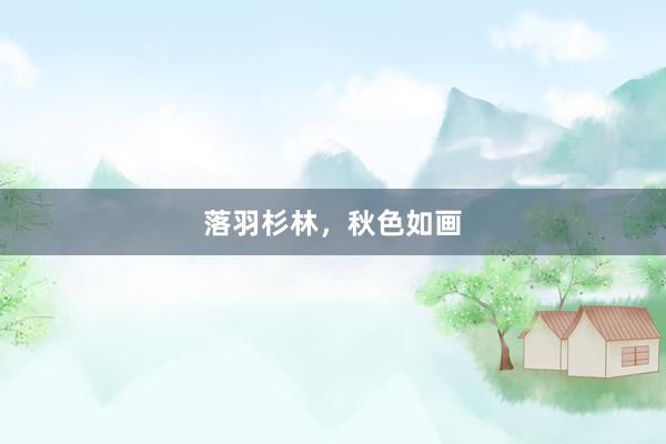 落羽杉林，秋色如画