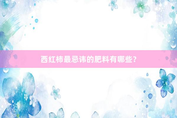 西红柿最忌讳的肥料有哪些？